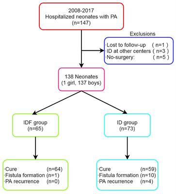 Incision and Drainage With Primary Fistulotomy of Perianal Abscess Is Safe and Effective in Neonates: A Long-Term Follow-Up Study